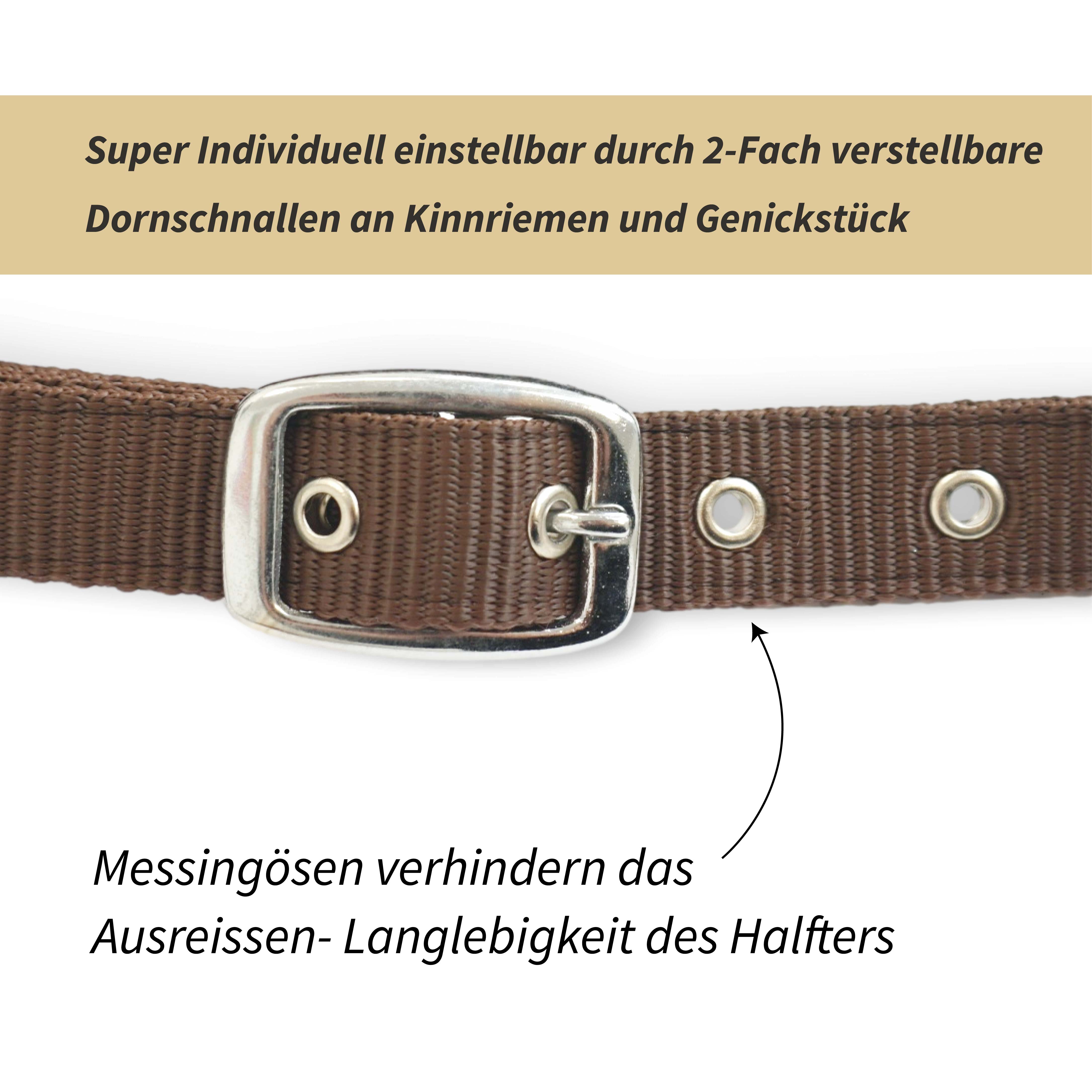 Halfter für Pferde Leopard